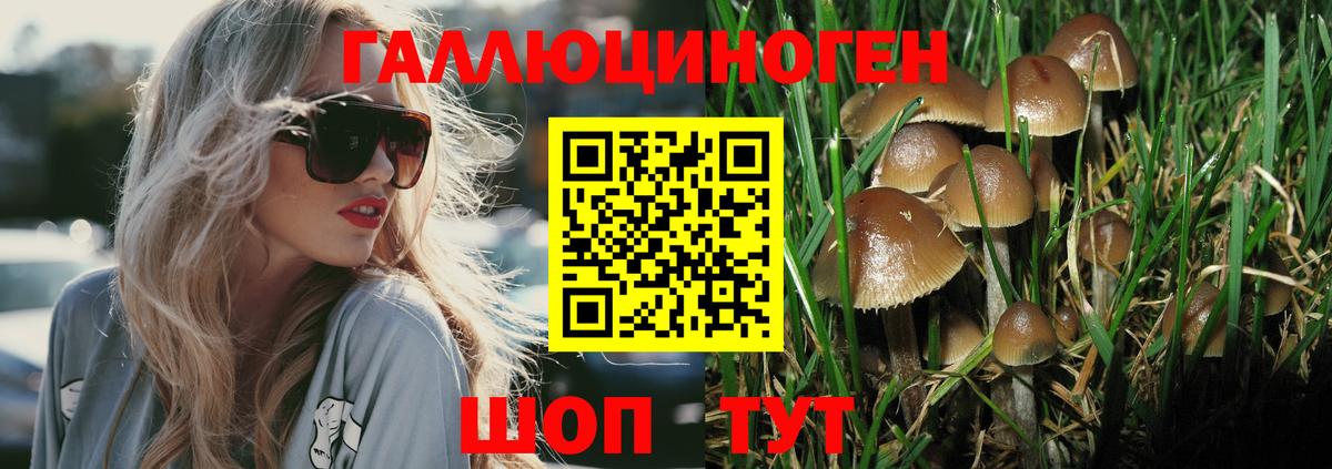 Псилоцибиновые грибы мицелий Рассказово
